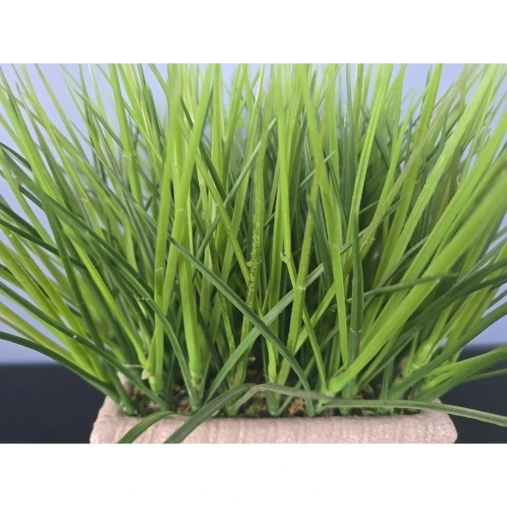 Set of 2 Faux Potted Grass in Faux Concrete Planter Patio Decorative Accent‎